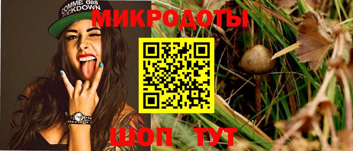 Галлюциногенные грибы GOLDEN TEACHER Нижний Тагил